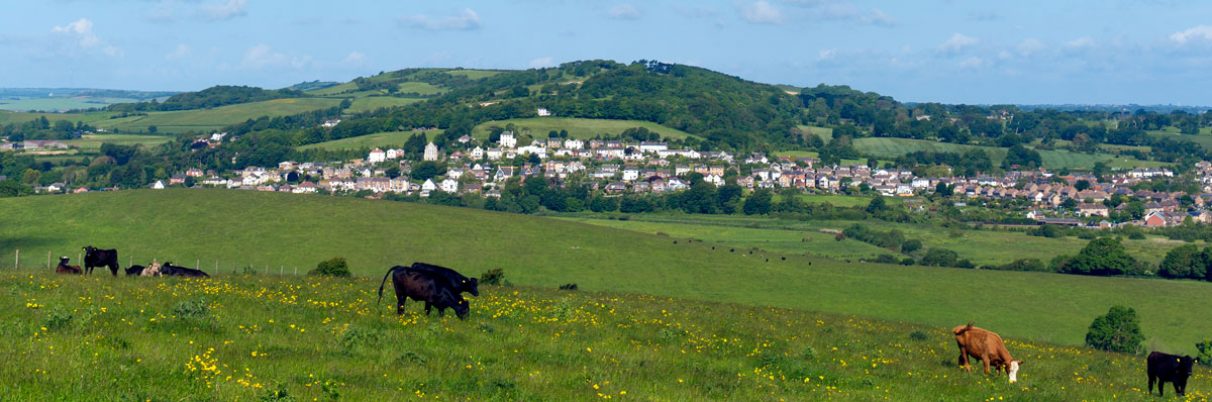 pic-cowes-hills pic-cowes-hills